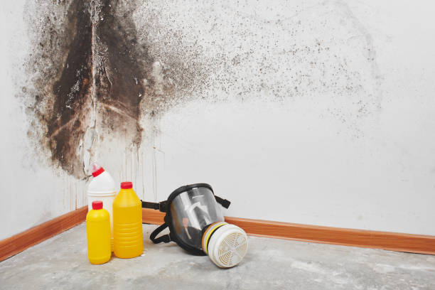 Best Crawl Space Mold Removal  in Maricopa, CA