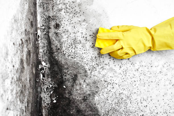Water Damage Restoration in Maricopa, CA
