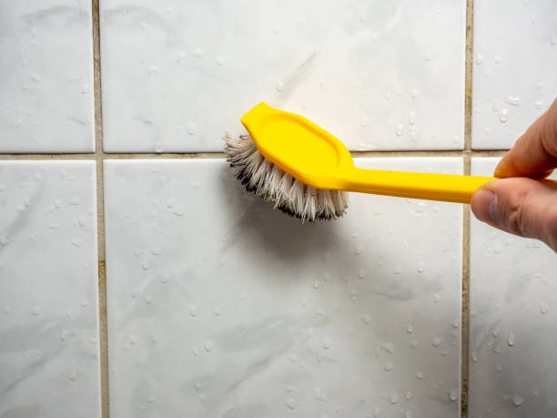 Office Mold Removal Services in Maricopa, CA