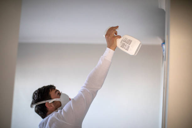 Best Home Mold Removal  in Maricopa, CA