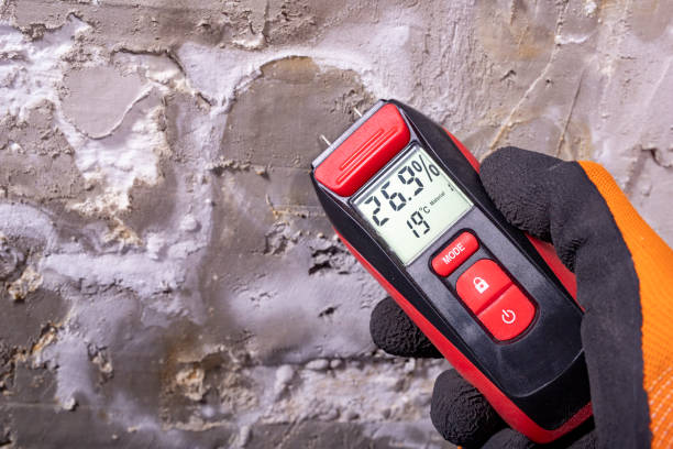 Attic Mold Removal in Maricopa, CA