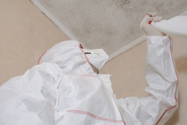 Mold Testing and Removal in Maricopa, CA